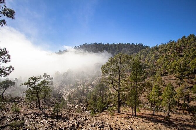 Full Day Small Group Tour to Masca and Teide From North Tenerife - Poleos Viewpoint and the Road Toward Masca