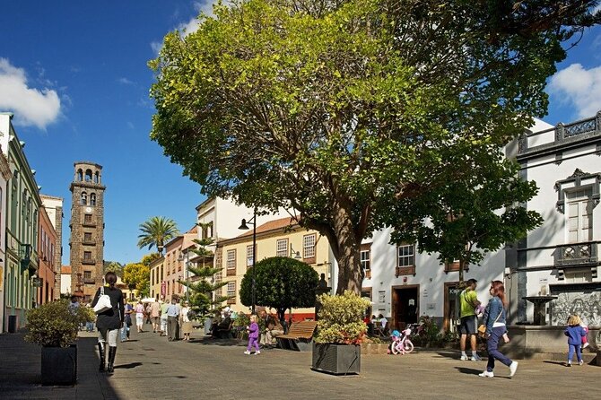 Full Day Tour of Santa Cruz and San Cristóbal de La Laguna - A full day from Tenerife’s capital to Anaga