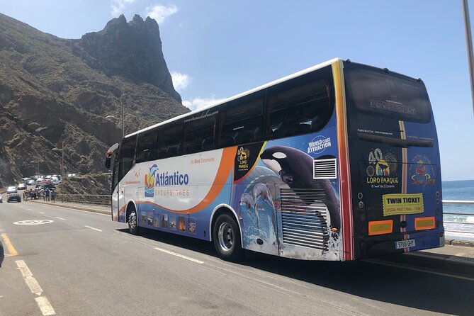 Full day tour visiting Santa Cruz, La Laguna and Anaga - Santa Cruz: a quick look at Tenerife’s capital