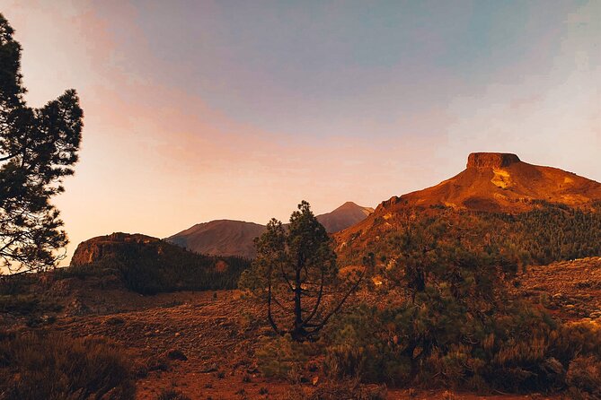 Full Day Tour with Certified Guide in Tenerife - Price, pickup, and the practical tradeoffs