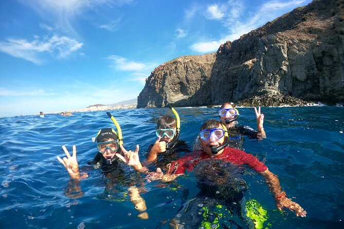 Fun Dive With Scuba Point in Los Cristianos - Is $91.71 a fair price?