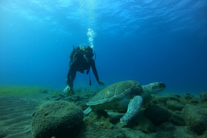 Fun Dive With Scuba Point in Los Cristianos - The boat ride toward Palmar