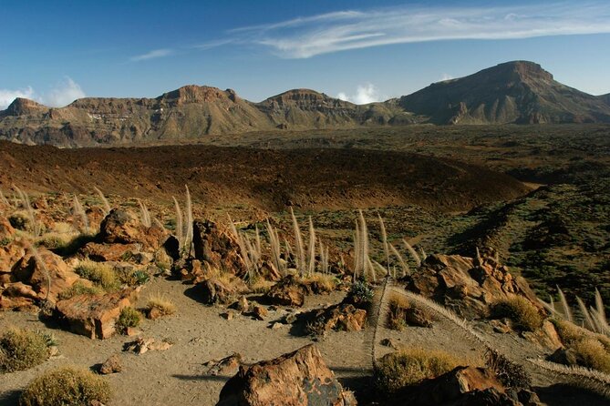 Get to know the Teide National Park and the north of Tenerife on a private tour - Key points to know before booking