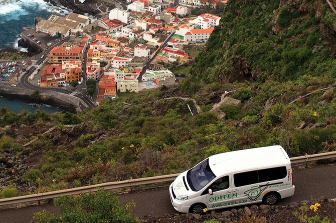 Get to know the Teide National Park and the north of Tenerife on a private tour - The climb toward Teide National Park