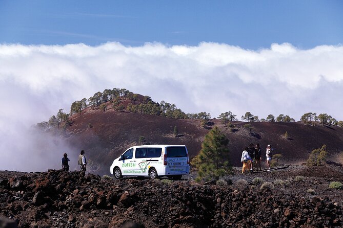 Get to know the Teide National Park and the south of Tenerife on a private tour - Volcanic layers, lava flows, and a very different Tenerife