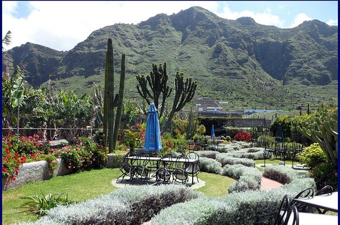 Go West - VIP Private Tour in Tenerife to Masca, Garachico and Icod - Icod’s Dragon Tree adds a memorable finish