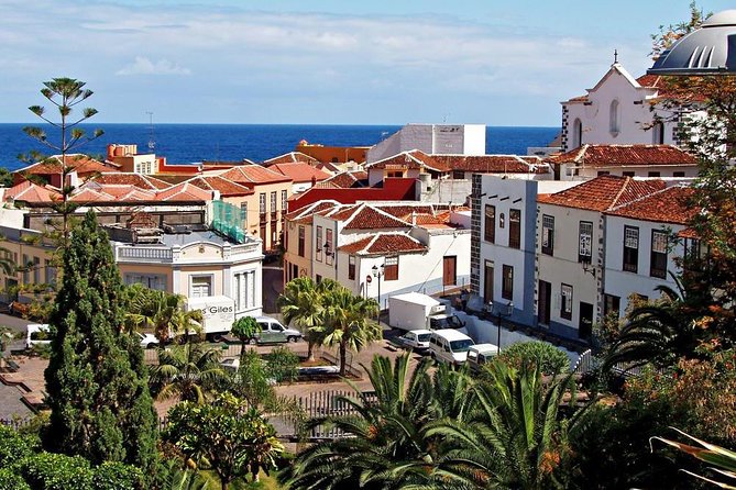 Go West - VIP Private Tour in Tenerife to Masca, Garachico and Icod - Masca Road is the scenic centerpiece