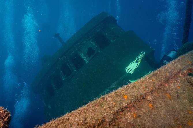 Guided Boat Dives for Certified Divers - Starting at Playa de las Americas at 8:30 am
