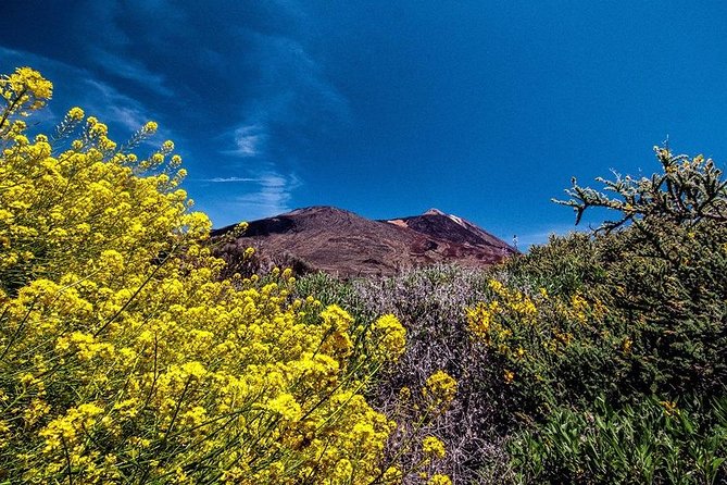 Guided Hike - The Tajinaste Trail - The picnic stop and what you need to carry