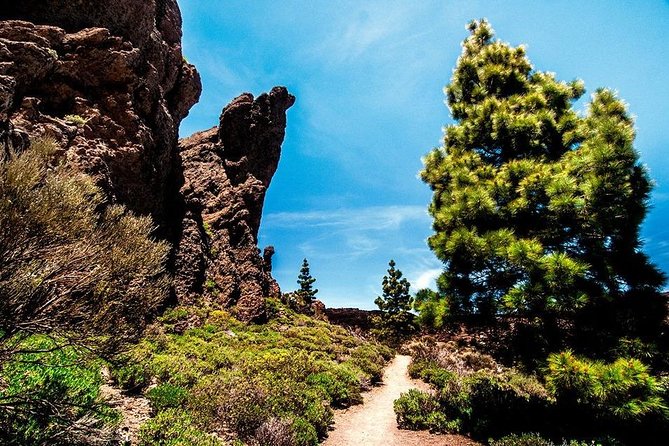 Guided Hike - The Tajinaste Trail - Clothing, footwear, and weather matter here
