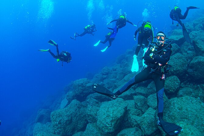 Guided Immersion from Santa Cruz de Tenerife - Why Radazul Bay is a smart place for a short scuba outing