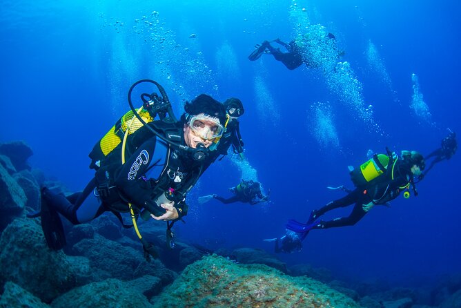 Guided Immersion from Santa Cruz de Tenerife - The second hour: 30 to 45 minutes in the bay