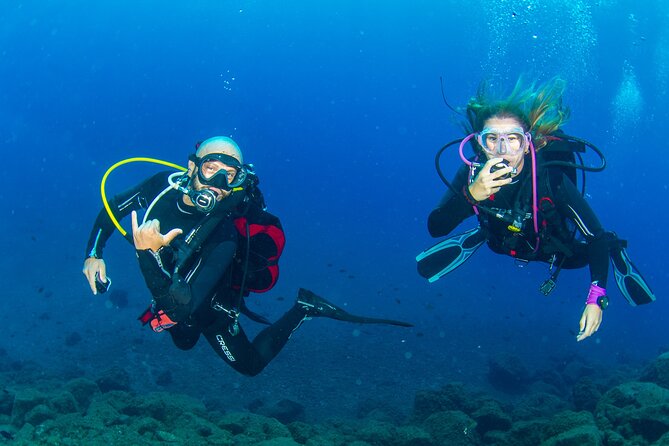 Guided Immersion from Santa Cruz de Tenerife - Who will get the most from this experience