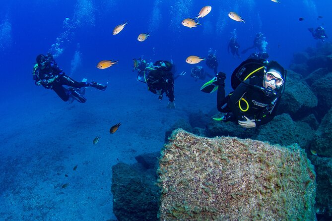 Guided Immersion from Santa Cruz de Tenerife - The first hour: a proper briefing before you enter the water