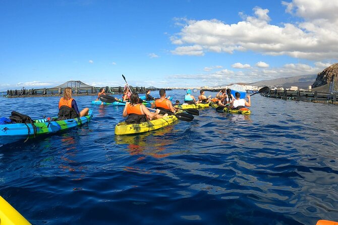 Guided Kayak Tour From Los Cristianos Beach Tenerife - At a glance