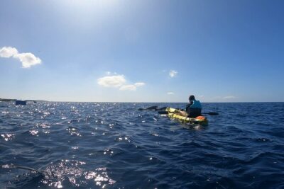 Guided Kayak Tour From Los Cristianos Beach Tenerife