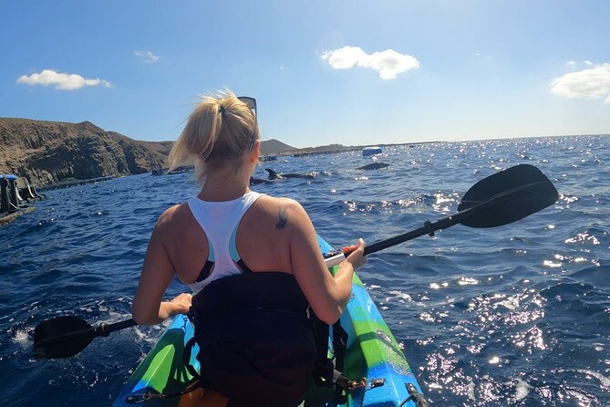 Guided Kayak Tour From Los Cristianos Beach Tenerife - What the two and a half hours feel like