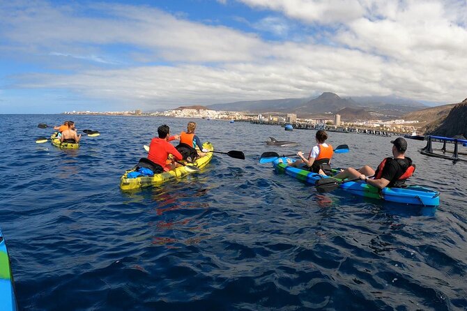 Guided Kayak Tour From Los Cristianos Beach Tenerife - Is $54.44 a fair price?