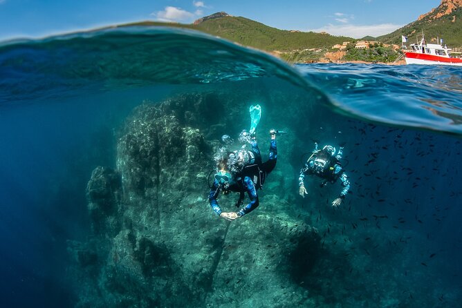 guided Scuba Diving on Tenerife (for certified divers) - Choosing between Tenerife’s underwater settings