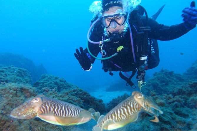 guided Scuba Diving on Tenerife (for certified divers) - The details that can make or break the day