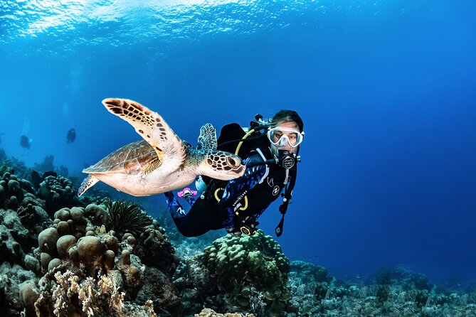 guided Scuba Diving on Tenerife (for certified divers) - What the six-hour outing is likely to feel like