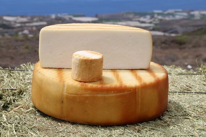Guided Tour Montesdeoca Cheese Factory - Cheese and Wine Tasting - Why this short farm visit feels more personal