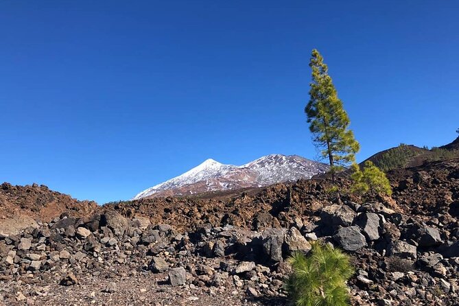 Guided Tour to Teide National Park in Tenerife - Key points to know before booking