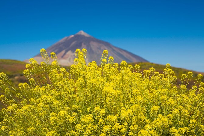 Guided Tour to Teide National Park in Tenerife - Roques de García and the volcanic heart of Tenerife