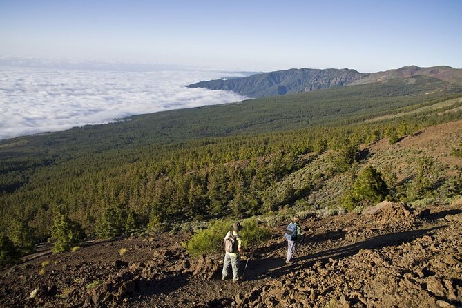 Guided Tour to Teide National Park in Tenerife - How good is the value at $66.08?