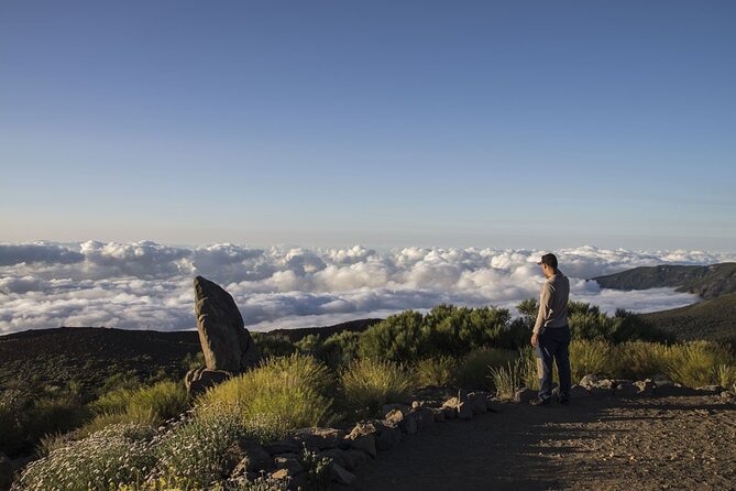 Guided Tour to Teide National Park in Tenerife - Comfort, group size, and practical limits