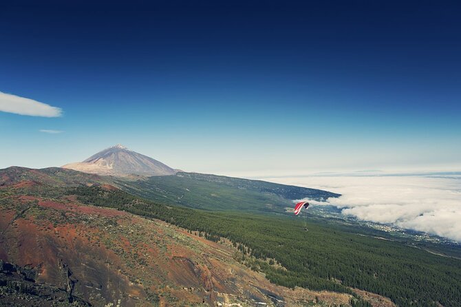 Guided Tour to Teide National Park in Tenerife - Should you book the Teide National Park tour?