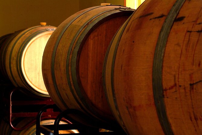 Guided Tour with 6 Wine Tasting - Timing, group size, and practical planning
