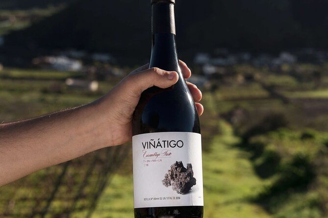 Guided Tour with 6 Wine Tasting - Who will enjoy this winery visit most