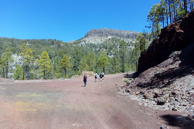 Hiking in Tenerife's Great Outdoors - The views, photo stops, and changing scenery
