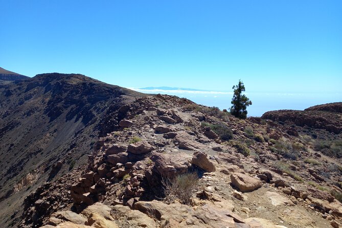 Hiking in Tenerife's Great Outdoors - How hard is the route?