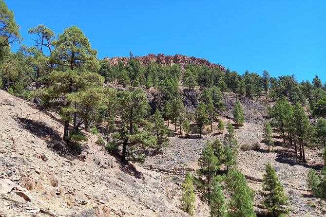 Hiking in Tenerife's Great Outdoors - What the price includes at $72.59