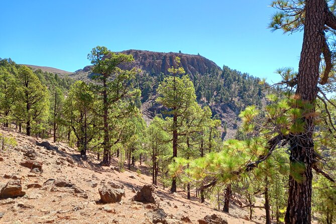 Hiking in Tenerife's Great Outdoors - A few practical choices before you go