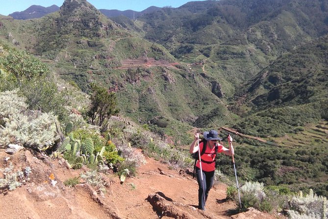 Hiking tour in the Anaga biosphere reserve in Tenerife - Meeting Sergio at La Laguna at 9:30