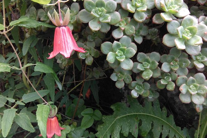 Hiking tour in the Anaga biosphere reserve in Tenerife - What to wear and pack