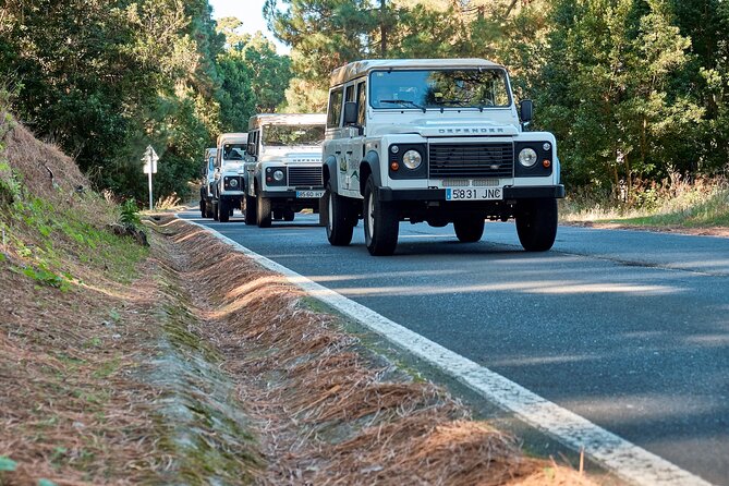 Jeep Safari at Half Day Teide - Two hours among Tenerife’s volcanic views