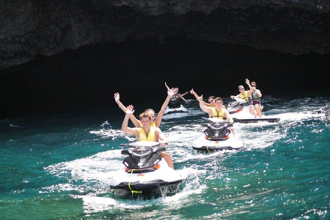 Jet Ski Safari South Tenerife - Wildlife Watching: A Pleasant Bonus