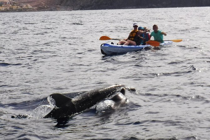 Kayak Route along the Volcanic Coast in Tenerife South with Snorkeling - Guides, group size, and safety