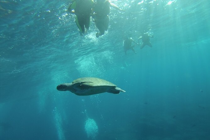 Kayak Route along the Volcanic Coast in Tenerife South with Snorkeling - Photos, showers, and the useful extras