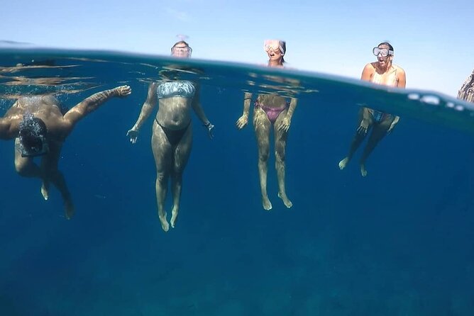 Kayak Safari with Dolphin and Turtle Watching in Guaza - Is $45.97 good value?