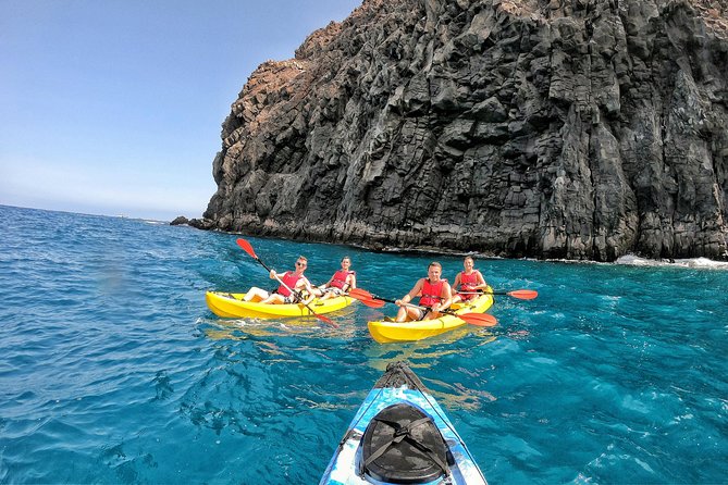 Kayak with Dolphin & Turtle Watching Private Tour - Snorkeling near the kayaks