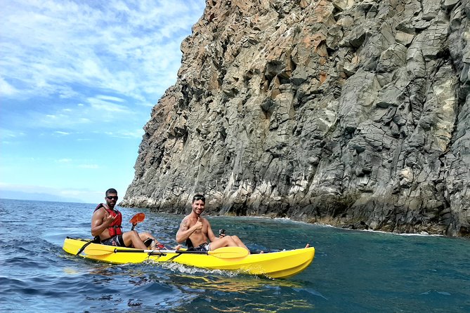 Kayak with Dolphin & Turtle Watching Private Tour - Watching for dolphins, turtles, and seabirds