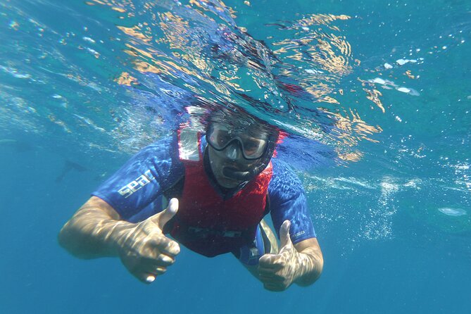 Kayaking + snorkeling with turtles - The guide can shape the whole morning