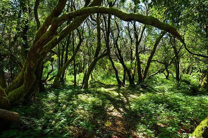 La Gomera Day Trip from Tenerife - San Sebastian and the Columbus connection