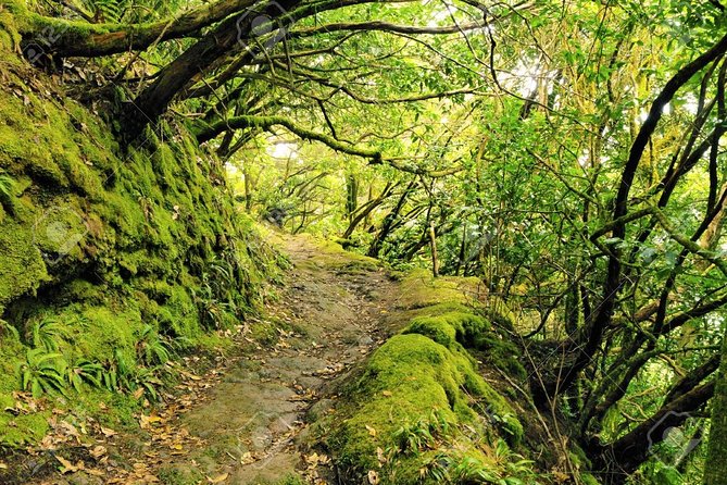 La Gomera Day Trip from Tenerife - Is $126.15 good value for this day?