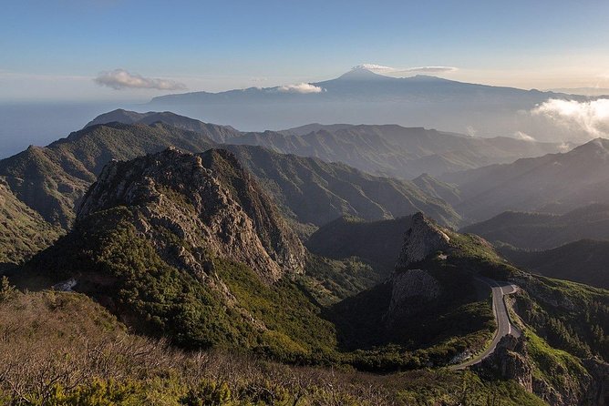 La Gomera Island Tour - Garajonay National Park: An Hour in the Laurel Forest